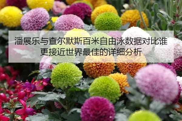 潘展乐与查尔默斯百米自由泳数据对比谁更接近世界最佳的详细分析
