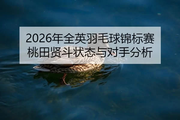 nian-quan-ying-yu-mao-qiu-jin-biao-sai-tao-tian-xian-dou-zhuang-tai-yu-dui-shou-fen-xi-2-369.jpg