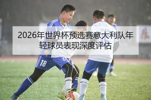 2026年世界杯预选赛意大利队年轻球员表现深度评估