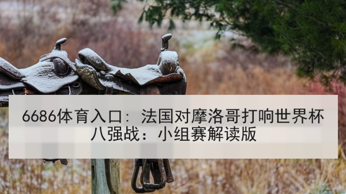 6686体育入口: 法国对摩洛哥打响世界杯八强战：小组赛解读版